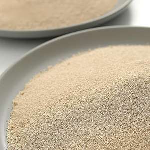 Poudre de probiotiques pour volailles, supplément Candida Utilis pour l'élevage de poulets, améliore les performances des œufs, additifs pour l'alimentation - Product Image 2