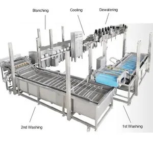 Línea de Producción de Procesamiento de Coliflor y Brócoli Congelados de 1000 kg/h, Máquina para Cortar, Lavar, Escaldar, Secar y <span class=keywords><strong>Congelar</strong></span> - Product Image 2
