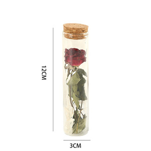 Offre Spéciale : Rose Séchée dans un Tube en Verre – Bouteille à Vœux avec Fleur Préservée pour Cadeau de Saint-Valentin et Décoration de Bureau - Product Image 4