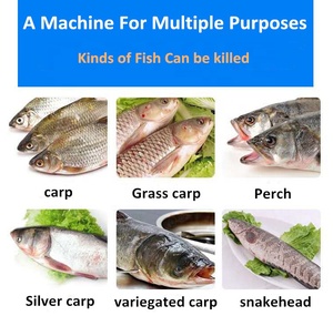 Máquina de limpieza de gran velocidad para peces, equipo de procesamiento para corte de peces - Product Image 2