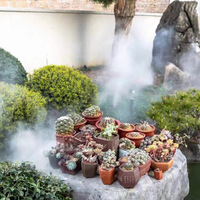 Machine à brouillard haute pression 7L – Système de brumisation pour restaurants, serres, culture de champignons, extérieur et refroidissement de volailles