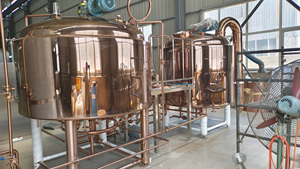Equipo de elaboración de <span class=keywords><strong>cerveza</strong></span> artesanal con Cervecería de cobre y tanque de fermentación - Product Image 6