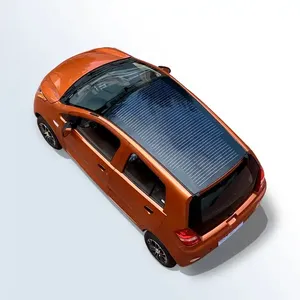 Solar panel electric car Model S6 , optional for different motors and power