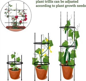 Support en maille écologique pour plantes grimpantes, <span class=keywords><strong>cage</strong></span> de soutien pour tomates - Product Image 5