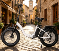 Vélo Électrique Pliant Tout-Terrain à Pneus Larges 20 Pouces, Deux Places, à Batterie, pour l'Extérieur - Vente en Gros Direct Usine - BE067