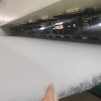 Géotextile en polyester PET pour la protection des pentes