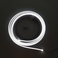 Tube néon flexible en silicone étanche IP69 pour décoration murale intérieure/extérieure Bande LED 100mm avec diffuseur