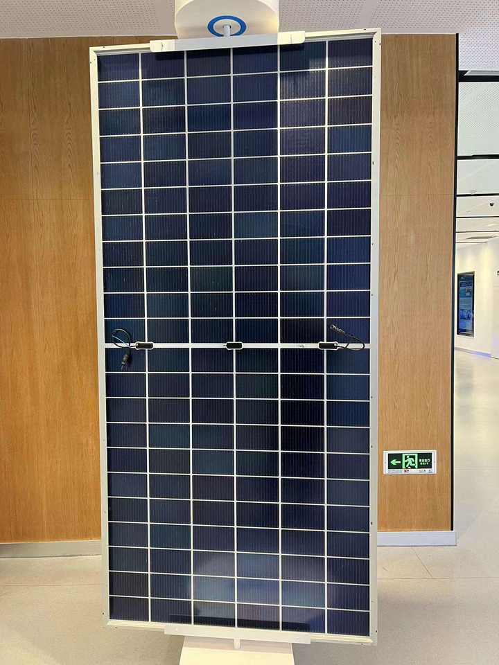 Trina TSM-NEG19RC.20 N-type I-TOPCon Bifacial Dual Glass ...