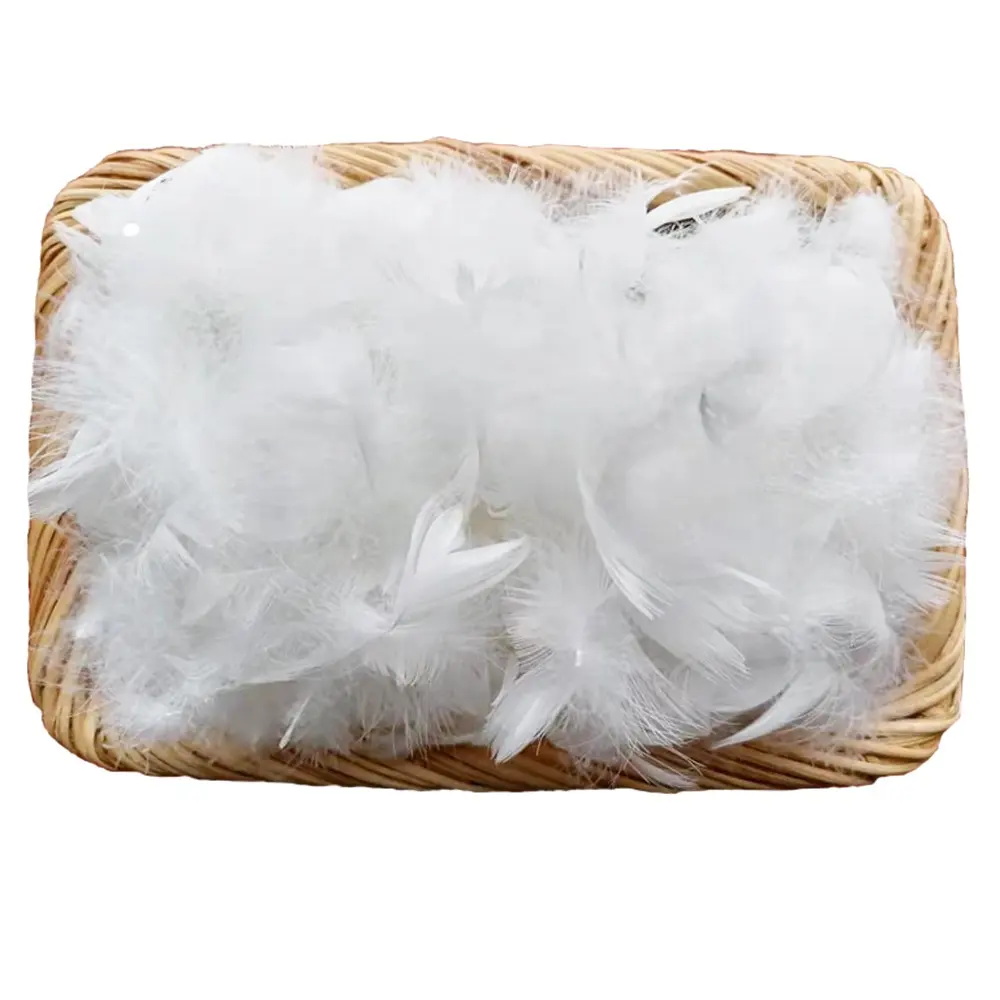 Plumas de ganso blancas lavadas para textil, 2-4CM, gran oferta
