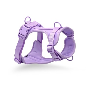 Benutzer definierte Designer Luxus Polyester Nylon Hunde geschirr Set personal isierte verstellbare Luftschicht Neopren <span class=keywords><strong>PVC</strong></span> Leine Halsband Mode - Product Image 6