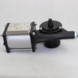 Cp Serie Pneumatische Rotary Actuator