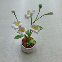 Plante en pot de fleur de vigne de Malabar, produit fini en laine crochetée à la main, photo réelle, ornement cadeau