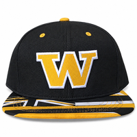 Casquettes Snapback Brodées 3D Personnalisées Bicolores 6 Panneaux Design Logo Vierge Unisexe Vente en Gros Gorra OEM ODM