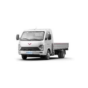 Best Seller From China 2.0l 4x2 Rwd Pure Gasoline Wuling Truck Van Pickup Wuling Dragon Truck