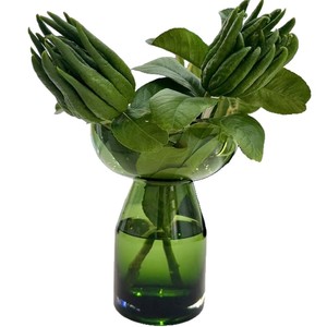 แจกันแก้วขัดเงาทำด้วยมือล้วนสำหรับ<span class=keywords><strong>ปลูก</strong></span>มะกรูดน้ำมะกรูด E18<span class=keywords><strong>ปลูก</strong></span>พืชไร้ดิน - Product Image 5