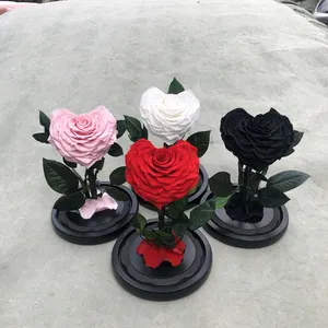 Rosa en cúpula de cristal con la caja de regalo negra, Rosa eterna, táctil Real, oferta