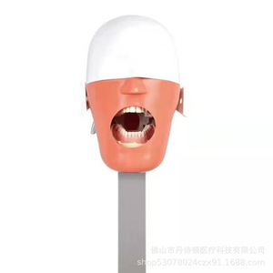 Modelo de Cabeza de Simulación Dental Dansdon con Boca Reemplazable para Prácticas de Enseñanza Oral, Fabricado en Foshan - Product Image 2