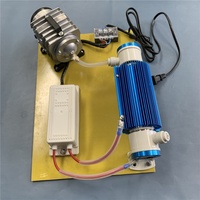 Module générateur d'ozone à tube de quartz, accessoires pour le traitement de l'eau potable