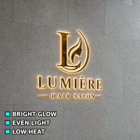 Emblème monogramme doré poli effet miroir avec lettres lumineuses à halo en serif, enseigne logo personnalisée pour façade murale en pierre, enseigne en lettres encastrées