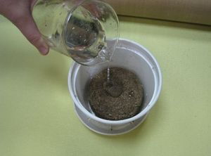 Pressed <b>Peat</b> Moss for Growing Seedlings (Tablet) - Product Image 4