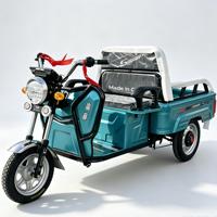 Kart électrique tout-terrain 750W 48V pour adultes avec batterie 20Ah, moteur BLDC, transmission par arbre, buggy des dunes, utilisation en extérieur, 70 km/h, charge 200 kg
