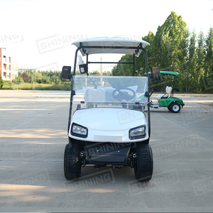 Shininglsv giá rẻ 2 Seate Golf điện giỏ hàng để bán bạn thân - Product Image 3