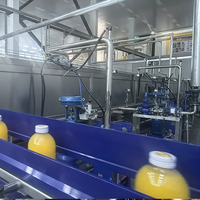 Mango Puree Machine / Hoge Capaciteit Fruitpulp Extractielijn / RVS Pulpmachine
