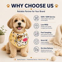 Bavoir pour chien brodé personnalisé avec motif de dessin animé, bandana réglable à bouton-pression, écharpe appliquée, logo personnalisé, cadeau promotionnel pour animaux de compagnie