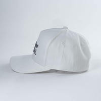 Casquette de baseball en coton de haute qualité avec broderie de logo personnalisé, visière incurvée, 5 panneaux, style 'A' Frame, en tissu Dobby, motif léopard, en tissu éponge, en tissu Oxford