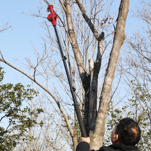 กรรไกรตัดกิ่งลิเธียมแบตเตอรี่ลิเธียมขนาด25มม. สามารถปรับแต่งได้ปลอดภัยออกแบบด้วยเสาสูง21โวลต์ - Product Image 4