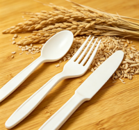Vaisselle écologique moderne 100% compostable en fibre de coque de riz, couverts biodégradables jetables (cuillère, fourchette, couteau)