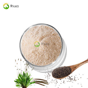 Hoogwaardige Food Grade Natuurlijke Psyllium Husk Extract 99% Psyllium Kafje Zaadpoeder - Product Image 1
