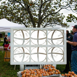 Ev çiftlik perakende kullanım için 88 adet otomatik tepsi yüksek PC PP Emu kaz devekuşu kuş ördek bıldırcın sürüngen türkiye için yeni kullanılan 220V - Product Image 5