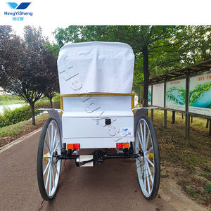 Fabricante Venta de Turismo de Navidad coche de caballos eléctrico personalizable transporte especial para excursiones - Product Image 5