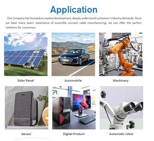 Kabel Konektor 2-Pin Jantan-Betina yang Dapat Disesuaikan dengan Kabel Harness Berinsulasi Dua Warna - Product Image 4