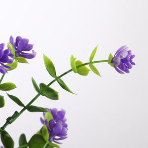 Flores Artificiales de Eucalipto y Camelia de 7 Ramas y 35 Mallas, de Plástico, de Alta Simulación, Accesorios para Fotografía - Product Image 4