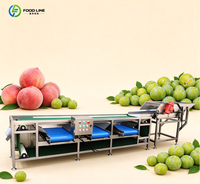 Machine de tri de fruits à rouleaux, machine de tri de fruits et légumes, machine de tri d'humidité pour 4 types de fruits secs
