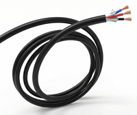Kabel SJT RVV 16/3 18/3 AWG, Kawat Tembaga Terpilin dengan Selubung PVC, Kabel Listrik Bulat 300V untuk Peralatan Rumah Tangga dan Proyek DIY