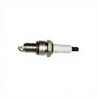 90919-01064 W16EXR-U pour Hilux/ Pièce de rechange en nickel Garantie 1 an