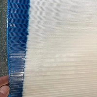 Filtro de Malla Espiral Personalizable 100% Poliéster para Prensa de Filtro, Filtro de Líquido de Alta Resistencia, Resistente al Desgaste, para Altas Temperaturas