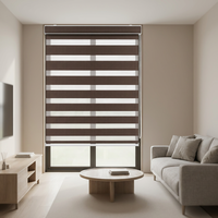 Persianas Enrollables de Tela Transparente con Doble Capa y Cadena Manual, Filtro de Luz, Tipo Zebra, para Ventanas de Sala de Estar y Dormitorio