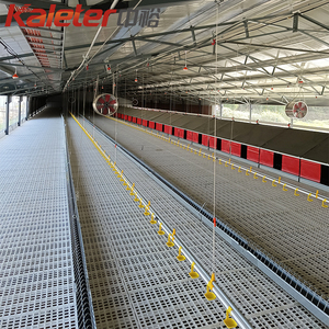 Nido para Huevos de Gallina Grande Kaleter, Gran Venta, Precio de Fábrica - Product Image 2