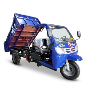 Tricycle cargo diesel puissant à <span class=keywords><strong>3</strong></span> <span class=keywords><strong>roues</strong></span> avec auvent, robuste pour terrains accidentés, vente chaude - Product Image 1