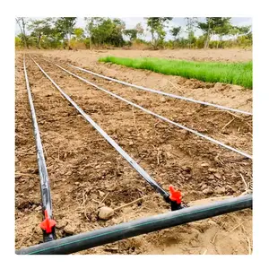 1 Hectare Druppelirrigatiesysteem Platte Tape Druppelbevloeiingen Systeem Landbouw Boerderij Irrigatiesystemen Druppelband