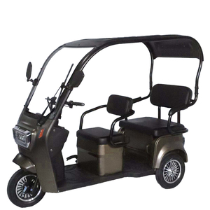 Nuevo Diseño, Triciclo de 3 Ruedas para Adultos, 800W, 60V, con Techo, en Venta - Product Image 2