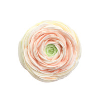 Diffuseur de parfum floral artisanal en plâtre de gypse pour grille d'aération de voiture, ornement d'intérieur