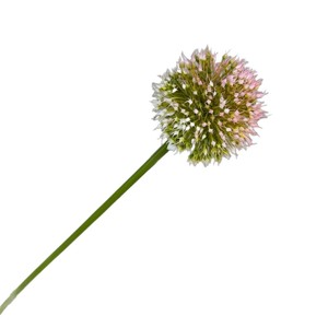 Fleurs artificielles en forme d'ail en plastique à tige unique Jinxi pour décoration de mariage et de maison – Blanc, rose, vert, violet - Product Image 5