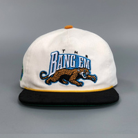 Brim Broderie Patch Snapback Chapeau Casquettes Impression Colorée Plat Broderie logo Snapback Chapeaux Caps5 Panneau Cap