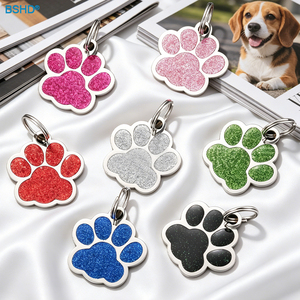 Promotion en stock : Étiquette d'identification pour chien Paw Sparkly, mignonne, scintillante, avec nom de l'animal, en métal, pour Noël, en alliage de zinc peint - Product Image 1