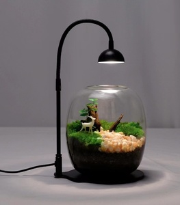 Benutzer definierte Landschaft Pflanzen <span class=keywords><strong>Terrarium</strong></span> Kit Pflanzer Luft Pflanze Moos Terrarien Globe Vase Rechteck Glas <span class=keywords><strong>Terrarium</strong></span> Tür Licht - Product Image 4